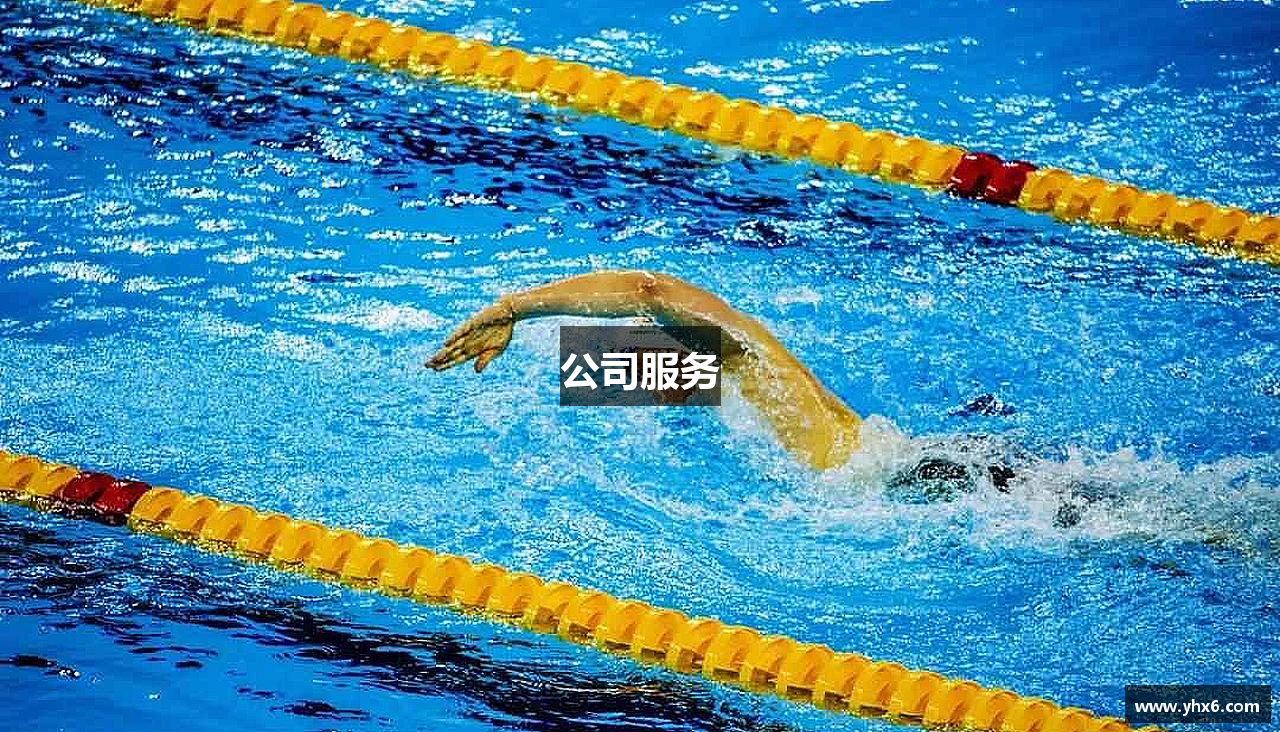 公司服务