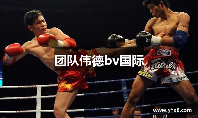 团队伟德bv国际